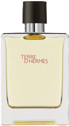 Hermes Terre d'Hermes 100ml (Туалетная вода)