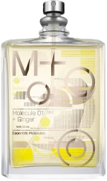 Escentric Molecules Molecule 01 + Ginger 100 ml TESTER (Оригинал) Туалетная вода