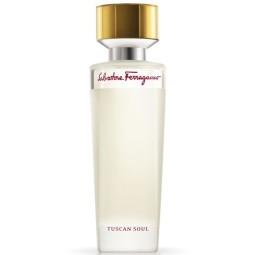 Salvatore Ferragamo Tuscan Soul Pour Homme 100ml (Туалетная вода)